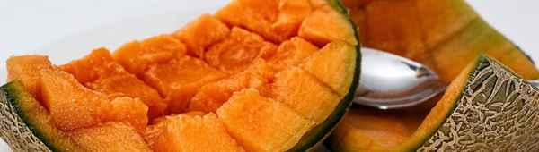 Особенности употрeбления дыни при холецистите