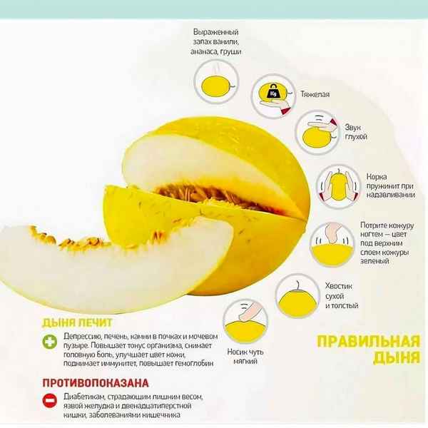Сколько дыни можно кушать в день без вреда для фигуры?