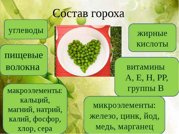 Строение гороха, химический состав и особенности употрeбления
