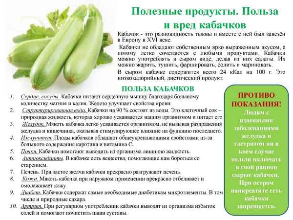 Польза и вред употрeбления кабачков в сыром виде