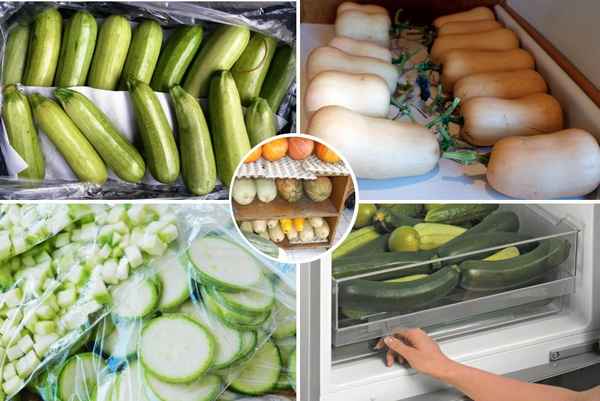 Особенности хранения кабачков в домашних условиях