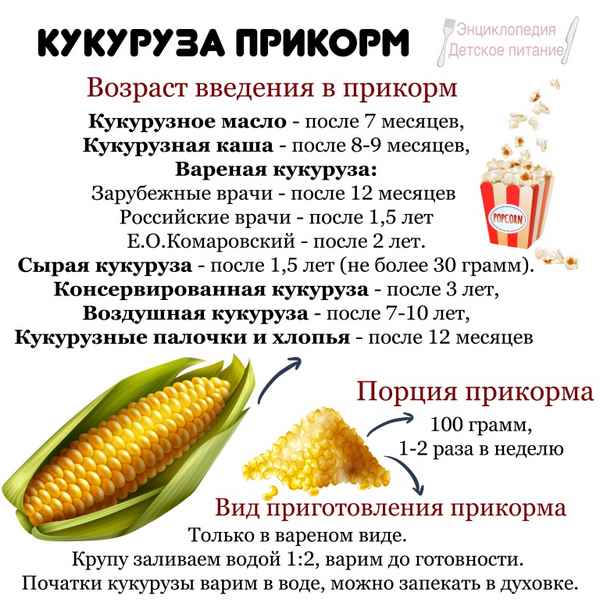 Сырая кукуруза: польза и вред, калорийность, приготовление и хранение