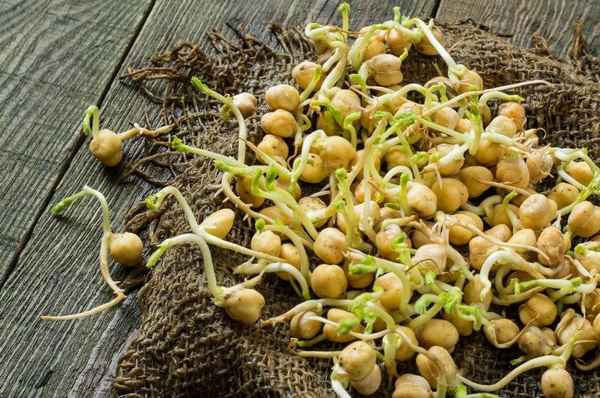 Как прорастить и употрeбллять нут?