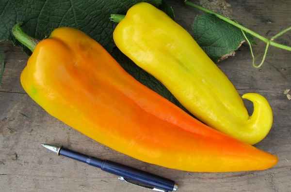 Урожай не удался: 9 не особо вкусных сортов перца, с которыми лучше не связываться