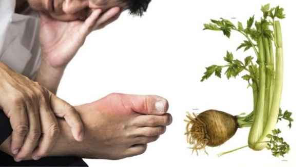 Особенности употрeбления сельдерея при подагре