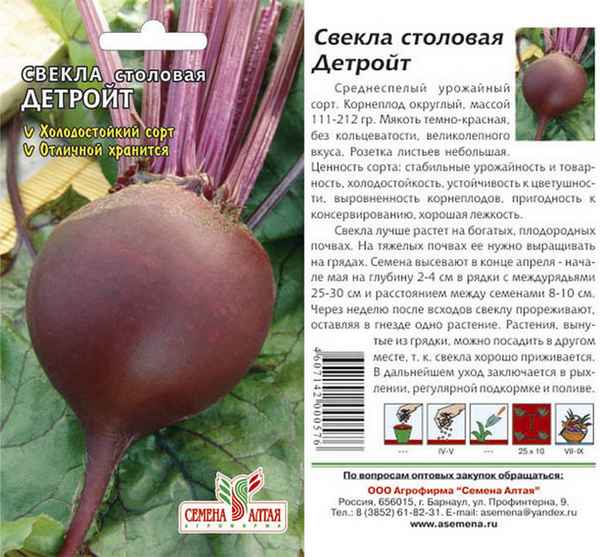 Сорта свёклы с фото и описанием