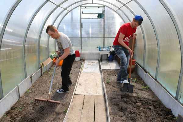 Подготовка теплицы к весне