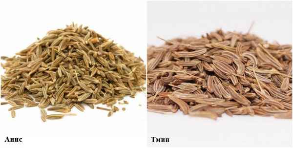 Тмин и анис — это одно и то же или нет?