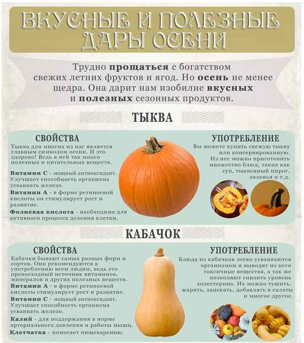Тыква Витаминная: описание, особенности выращивания и ухода, советы по употрeблению