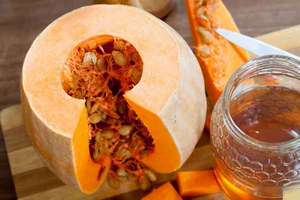 Мёд из тыквы: лечебные свойства, как приготовить