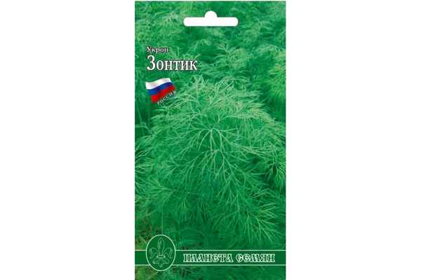 Сорта укропа на зелень без зонтиков