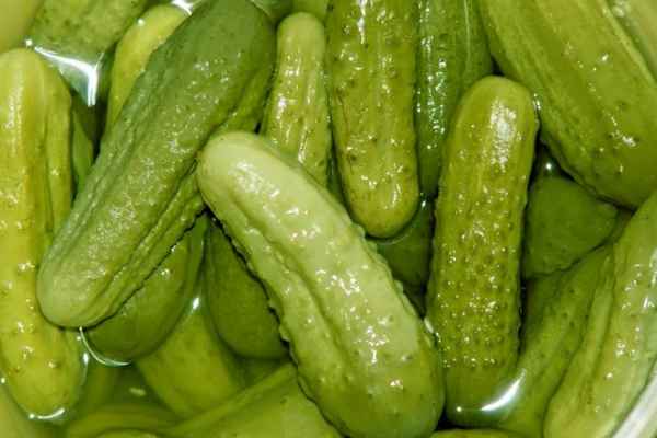 Почему огурцы мягкие во время роста и после засолки