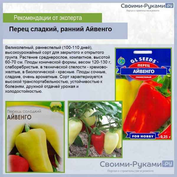 Сладкий перец Айвенго: описание, посадка и уход