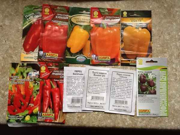 Перец Джемини: описание, агротехника выращивания