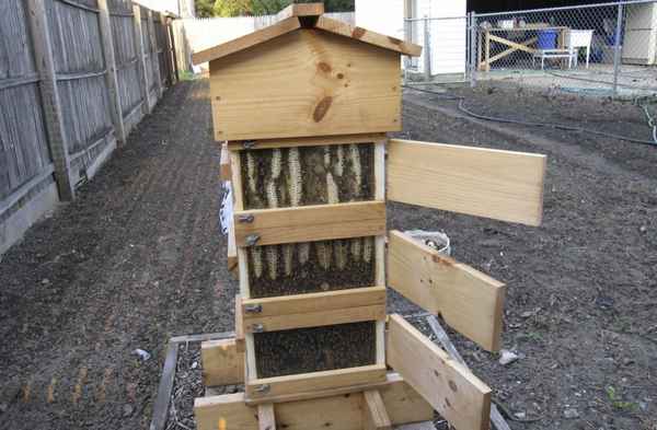 Улей аббата Варрэ