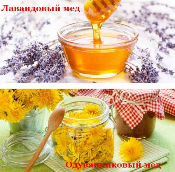 Какой мёд горчит