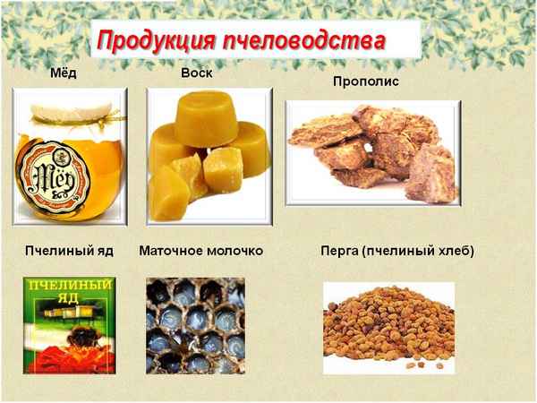 Продукты, выpaбатываемые пчёлами
