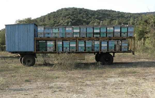 Как сделать своими руками или выбрать готовую пасеку на колесах?