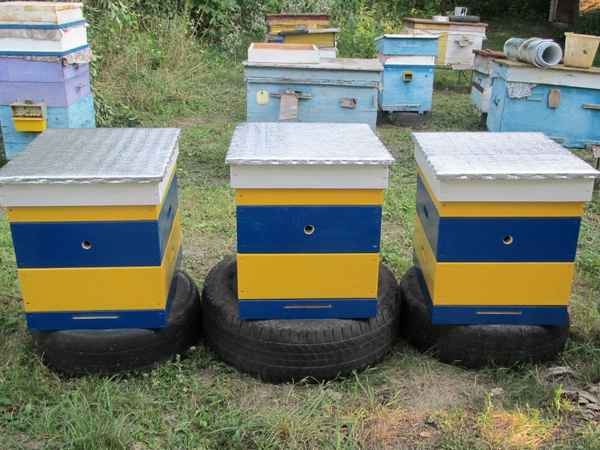 Как и чем красить ульи для пчёл?