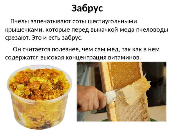 Что такое забрус и как его использовать