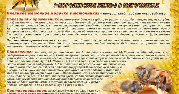 Пчелиное маточное молочко: особенности применения, от чего помогает и что лечит