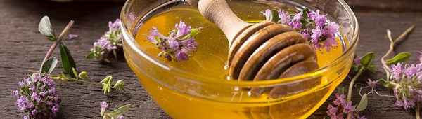 Описание и хаpaктеристика мёда из чабреца