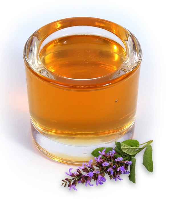 Полезные свойства шалфейного мёда