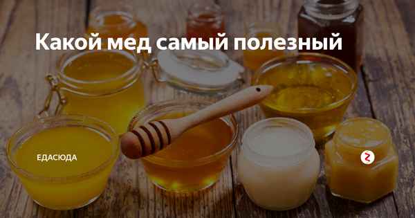 Какой сорт мёда самый вкусный и полезный?