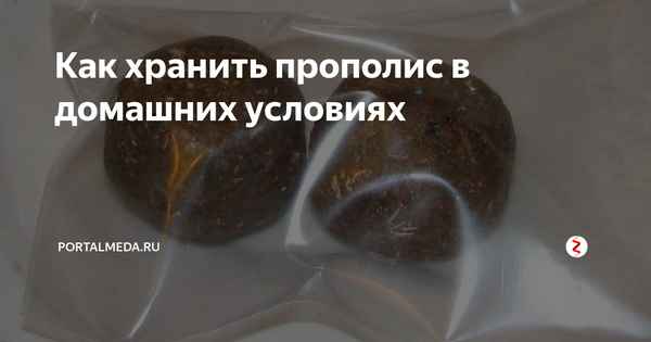 Особенности хранения прополиса в домашних условиях