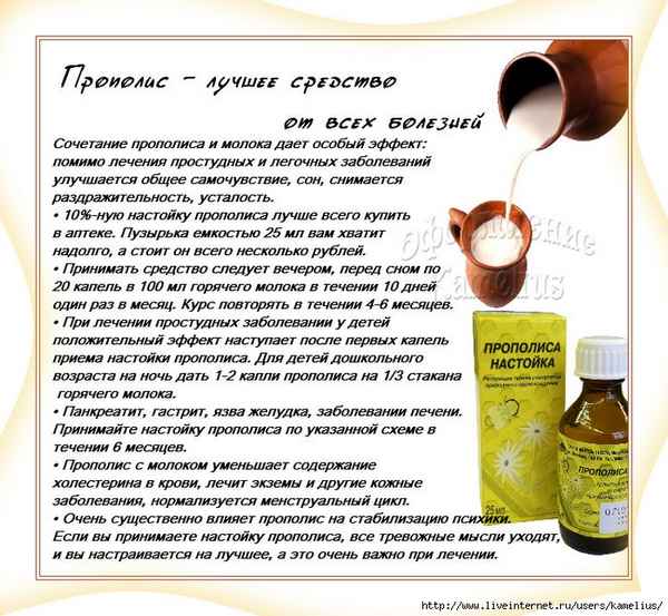 Польза и показания к применению прополиса на молоке
