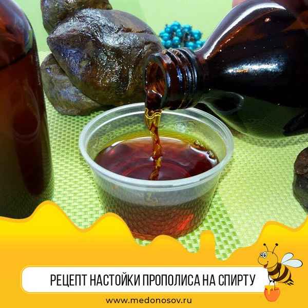 Прополис для питья на самогоне, водке и на спирту: как настоять