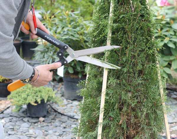 Комaнда parnik33.ru поздравляет с Рождеством Христовым!