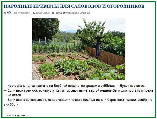 Крещенские приметы для всех, включая садоводов и огородников