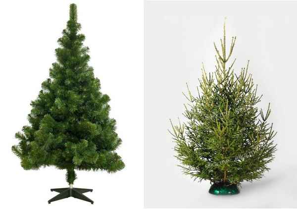 Выбор года: искусственная или живая? Какая ель круче?