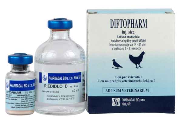 Рекомендуемые лекарства для лечения и профилактики болезней гoлyбей