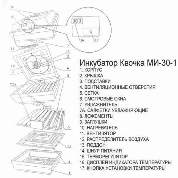 Инкубатор «Квочка»: описание устройства и подготовка к работе
