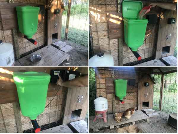 Автоматическая кормушка для кур своими руками