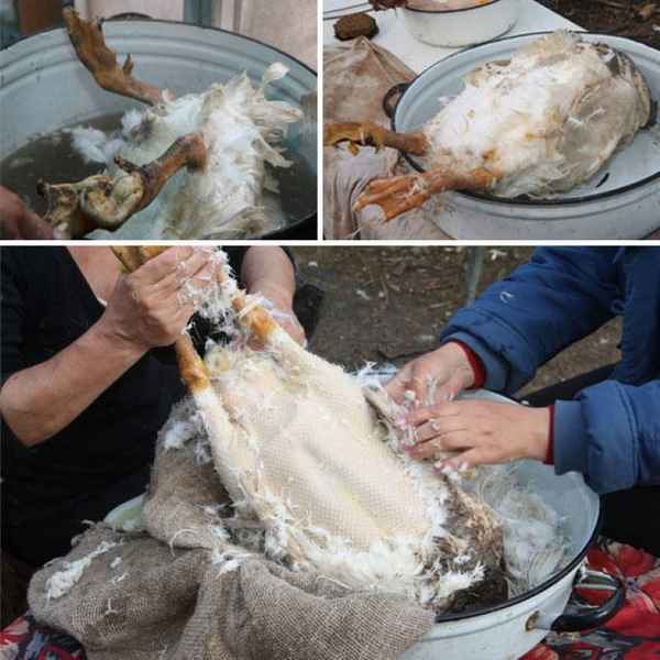 Как зарубить гуся в домашних условиях