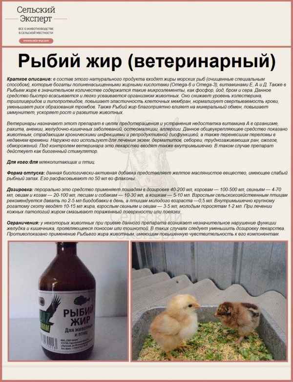 Для чего и как правильно давать курам рыбий жир