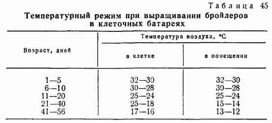 Нормы температурного режима при содержании бройлеров