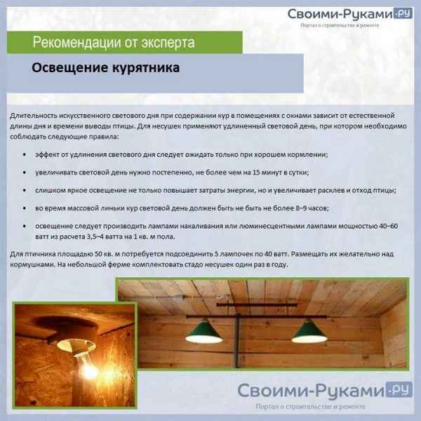 Какое освещение должно быть в курятнике