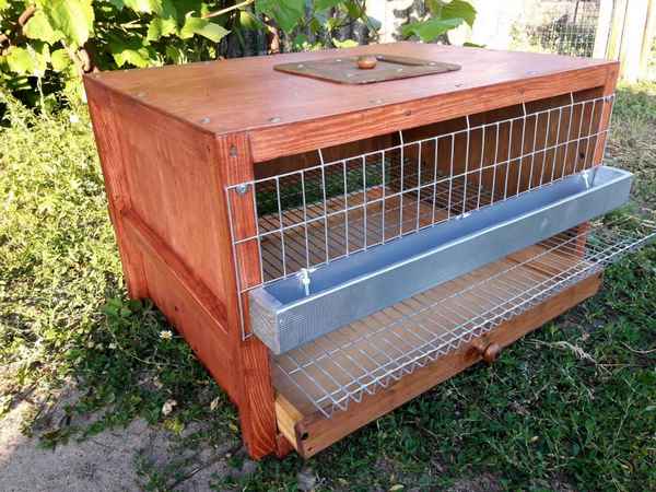 Как сделать клетки для перепелов своими руками в домашних условиях