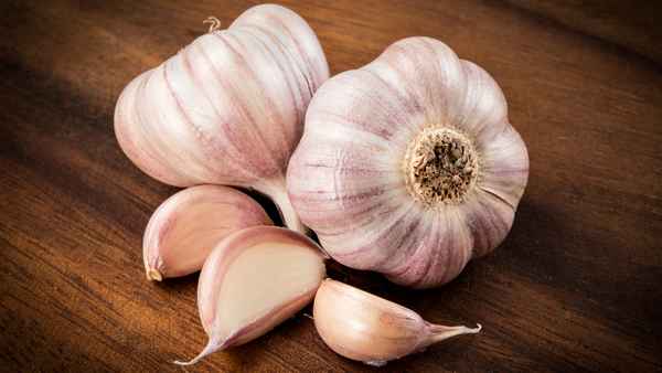 Чеснок — это овощ или нет?