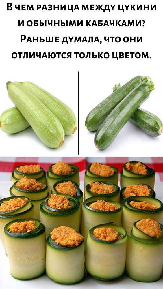 В чём разница между цукини и кабачками?