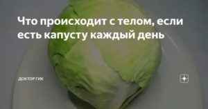 Можно ли есть капусту каждый день?