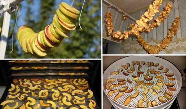 Как правильно сушить яблоки: способы сушки и хранение сушёных яблок