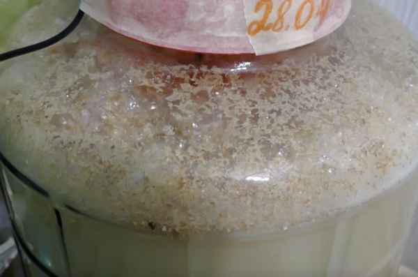 Рецепты приготовления браги из пшеницы на кодзи