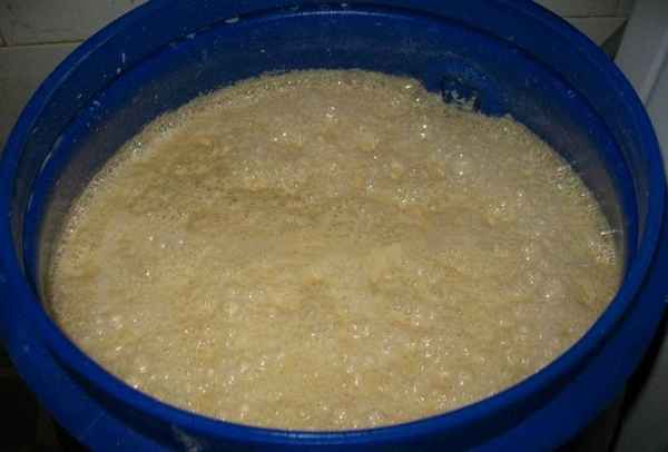 Как сделать брагу из пшеничной муки: рецепты приготовления самогона