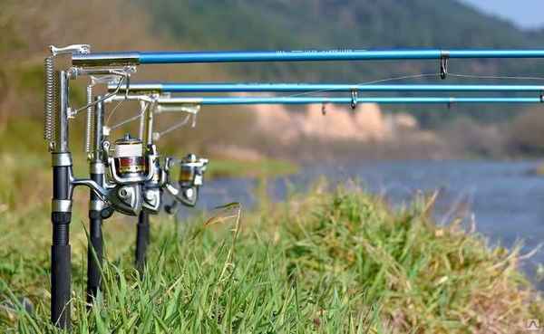 Особенности удочки с самоподсекателем