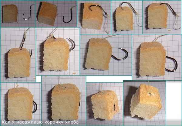 Как приготовить и насадить хлеб для рыбалки на карася, как правильно ловить рыбу